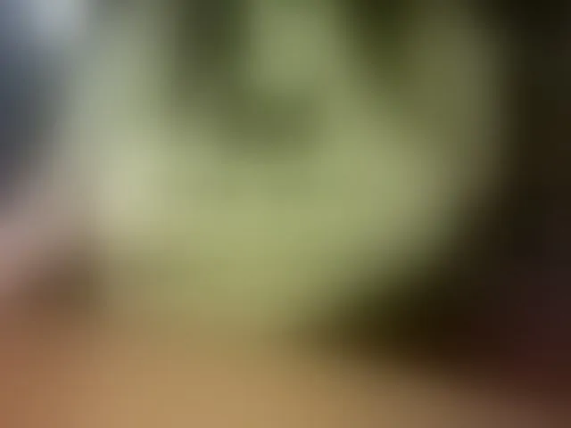 Live sex webcam photo for tanyvel34 #293061649