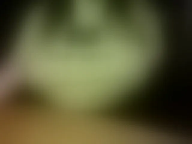 Live sex webcam photo for tanyvel34 #293063748