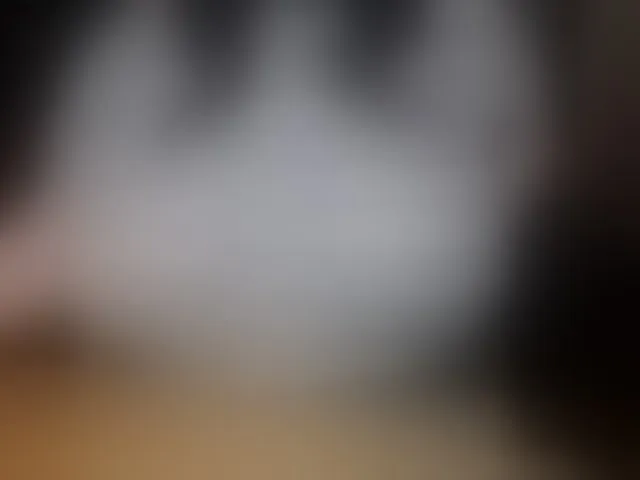 Live sex webcam photo for tanyvel34 #293204548