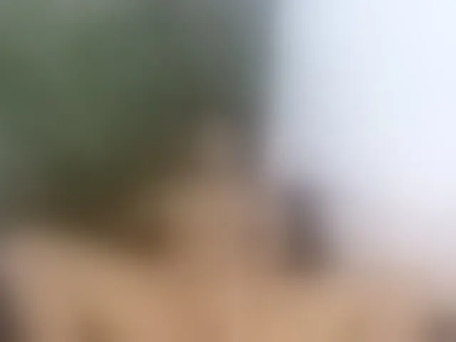 Live sex webcam photo for tatianasquirthot #293248675