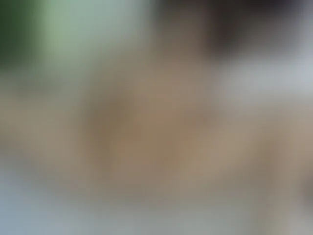 Live sex webcam photo for tatianasquirthot #293328012