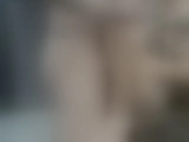 Live sex webcam photo for tattoo-couple #293728240