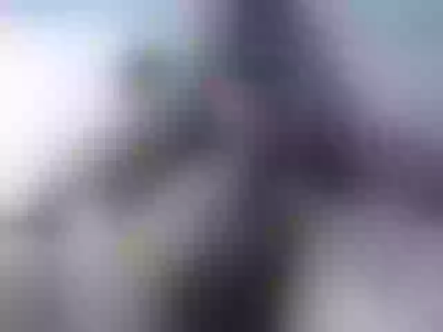 Live sex webcam photo for taylor-hot-xx #276037613
