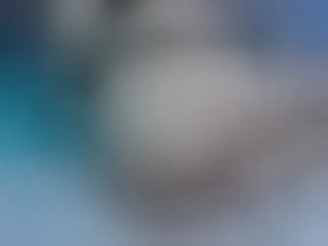 Live sex webcam photo for taylorlee #292715982