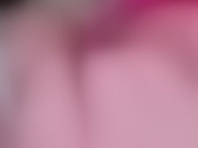 Live sex webcam photo for teeencute #294160852