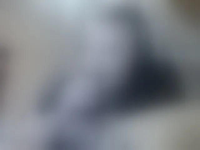 Live sex webcam photo for terryfoks #293004037