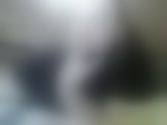 Live sex webcam photo for terryfoks #293156803