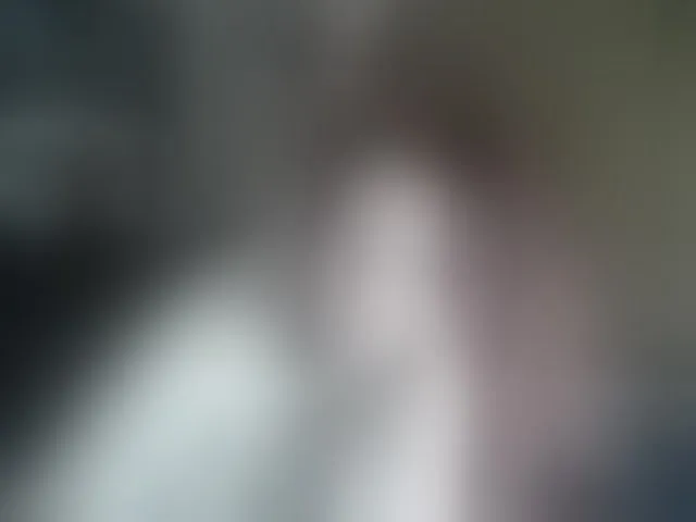 Live sex webcam photo for terryfoks #293268834