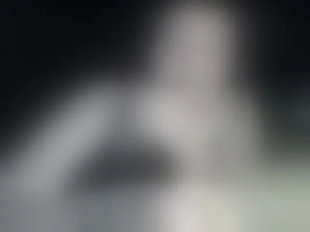 Live sex webcam photo for terryfoks #293608452