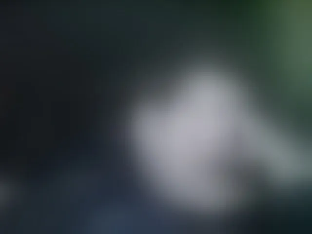 Live sex webcam photo for terryfoks #293624677