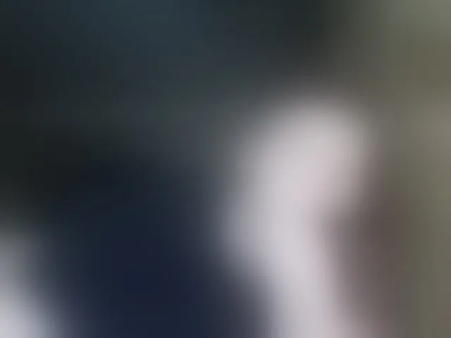 Live sex webcam photo for terryfoks #293639506