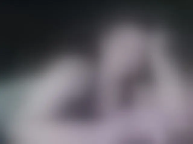 Live sex webcam photo for terryfoks #293644896