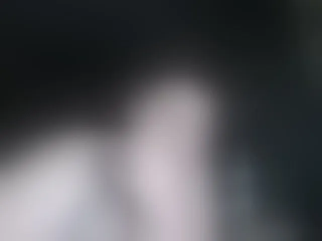 Live sex webcam photo for terryfoks #293665803