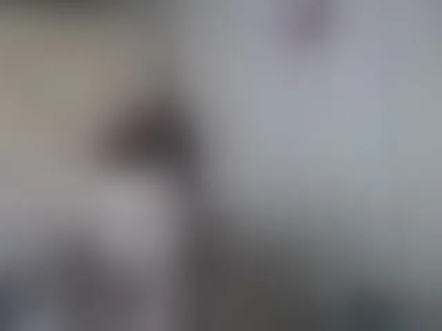 Live sex webcam photo for terryfoks #293732758