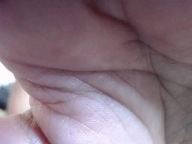 Live sex webcam photo for tetedange #291971806