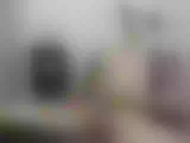 Live sex webcam photo for teylorestid7 #290865190