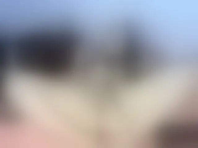 Live sex webcam photo for thalia-sweetlust #293864299
