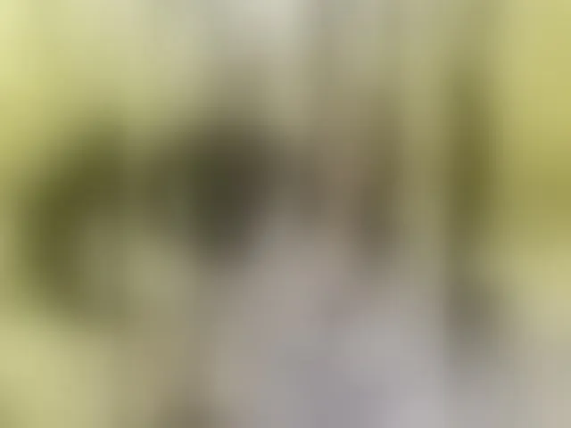 Live sex webcam photo for the-secret-room1 #293464040