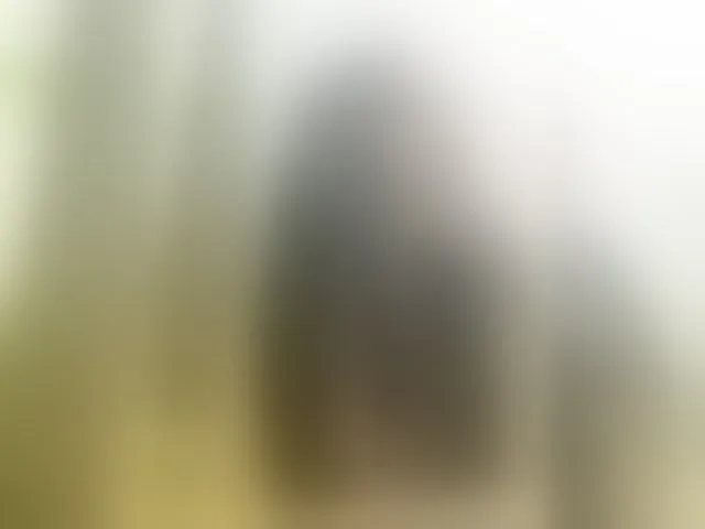 Live sex webcam photo for the-secret-room1 #293660408
