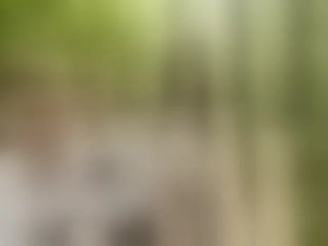 Live sex webcam photo for the-secret-room1 #293664934
