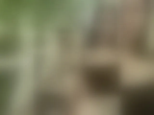 Live sex webcam photo for the-secret-room1 #293796417