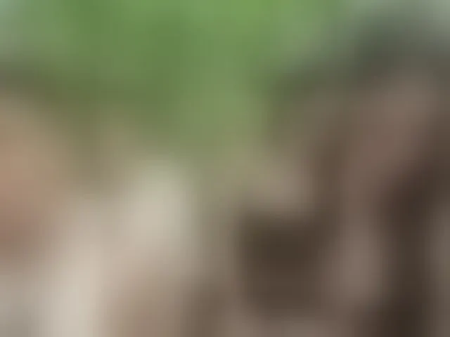 Live sex webcam photo for the-secret-room1 #293802750