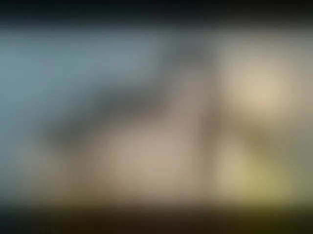 Live sex webcam photo for theSEXmasters #292494308