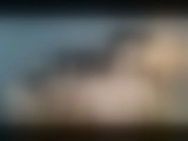 Live sex webcam photo for theSEXmasters #293880371