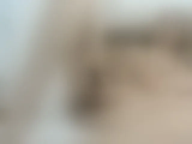 Live sex webcam photo for thegiselle #293767491