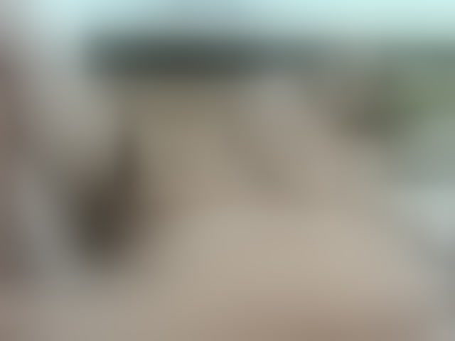 Live sex webcam photo for thegiselle #294197393