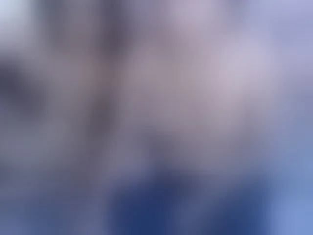 Live sex webcam photo for thelesbianhot #273412303