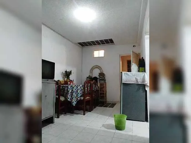 Live sex webcam photo for theplayful #290442920