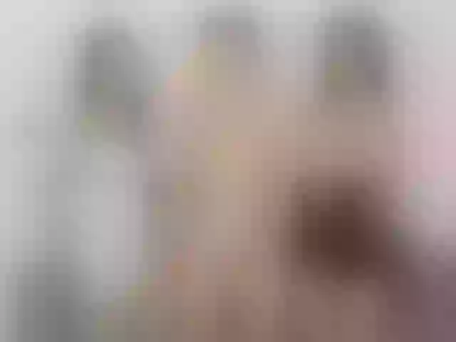 Live sex webcam photo for thesensualdolls #292219763