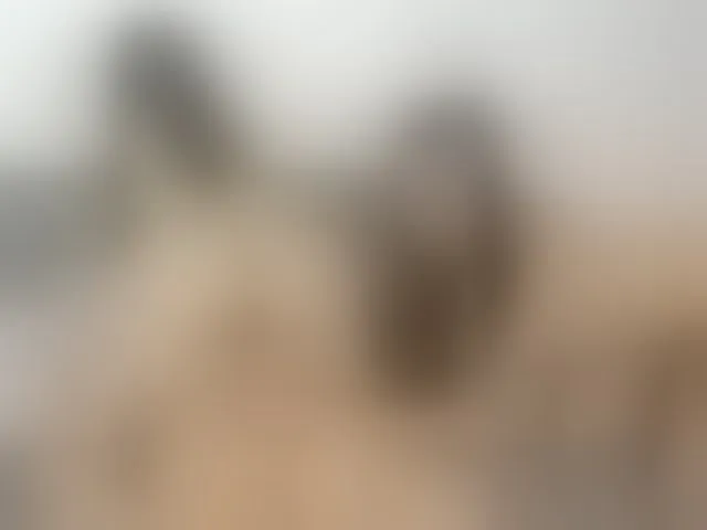 Live sex webcam photo for thesensualdolls #292326263