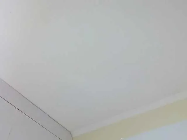 Live sex webcam photo for thesexyklit #271733537