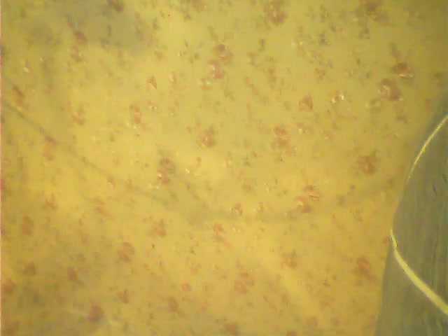 Live sex webcam photo for timur198422 #275684508