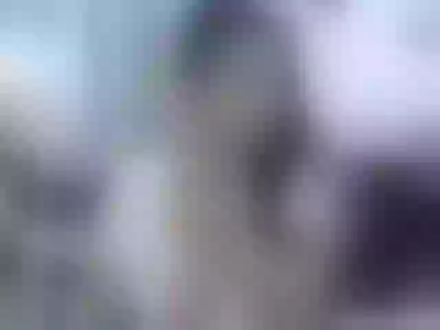 Live sex webcam photo for titsbiglovers #291846752