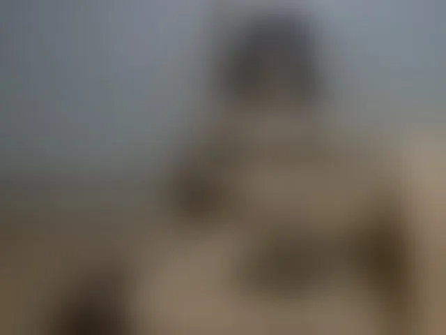 Live sex webcam photo for titsnrice #294191360