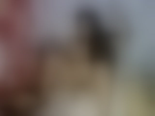 Live sex webcam photo for titsnrice #294314171