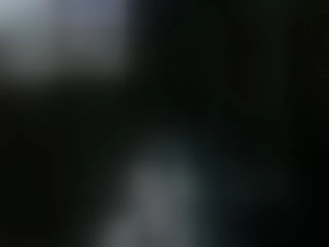 Live sex webcam photo for togosego #291867327