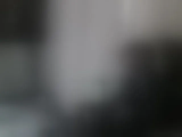 Live sex webcam photo for togosego #293795447