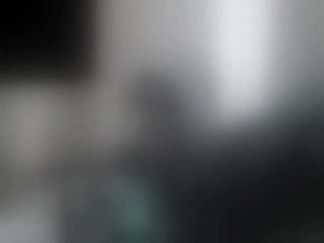 Live sex webcam photo for togosego #293895486