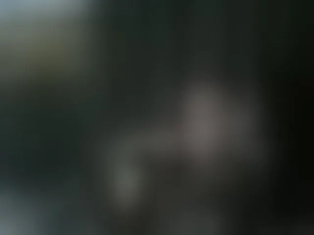 Live sex webcam photo for togosego #293936249