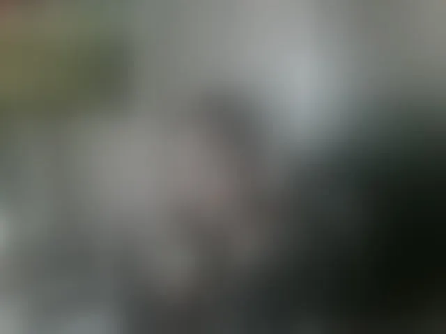 Live sex webcam photo for togosego #293953750