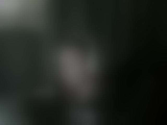 Live sex webcam photo for togosego #294162190