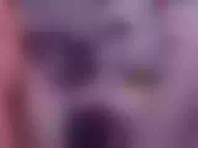 Live sex webcam photo for tommy-gregg #277159797