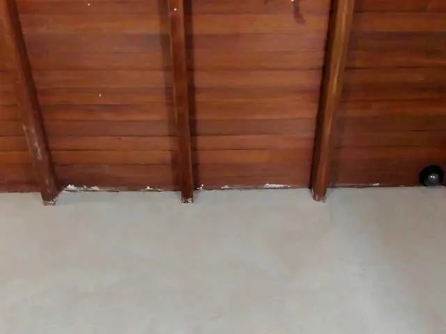 Live sex webcam photo for tommy-gregg #291209391