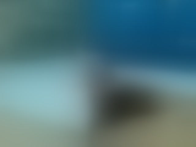 Live sex webcam photo for tommyXpamela4 #276539698