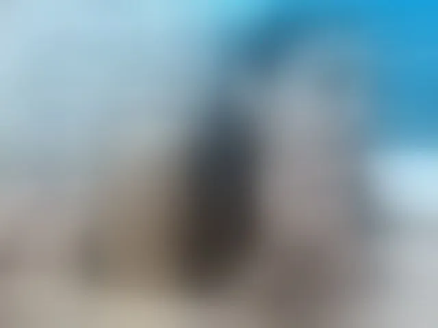 Live sex webcam photo for tommyXpamela4 #278288043