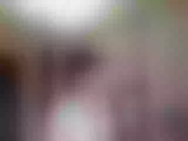 Live sex webcam photo for totodasha #291528611